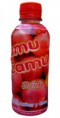 Bebida de Pulpa de Camu Camu 500 ml.